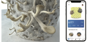 Italian Oyster Mushrooms (Pleurotus pulmonarius) growing on a 3D printed MycoCore. The MycoCore is printed from Alage based PLA. Home page of the FungalForm mobile app. The FungalForm app controls the device, orders new MycoCores, displays mycoremediation data and shares daily mushroom recipe recommendations.